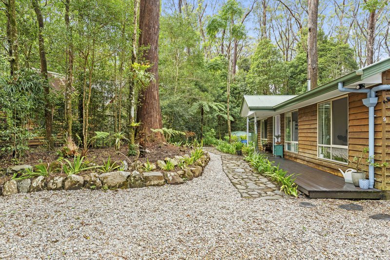 Photo - 9 Mundora Road, Springbrook QLD 4213 - Image 17