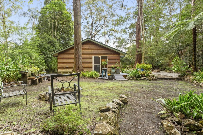 Photo - 9 Mundora Road, Springbrook QLD 4213 - Image 18