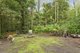 Photo - 9 Mundora Road, Springbrook QLD 4213 - Image 19