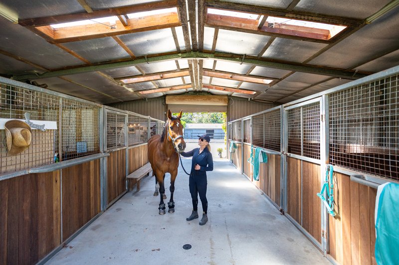 Photo - 9 Namba Road, Duffys Forest NSW 2084 - Image 4