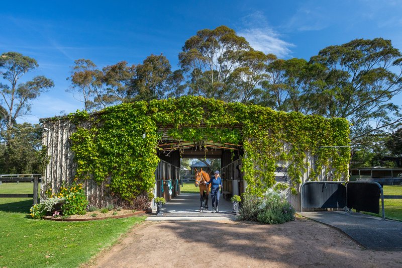 Photo - 9 Namba Road, Duffys Forest NSW 2084 - Image 6