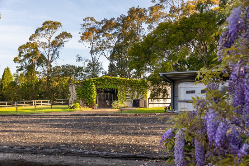 Photo - 9 Namba Road, Duffys Forest NSW 2084 - Image 11