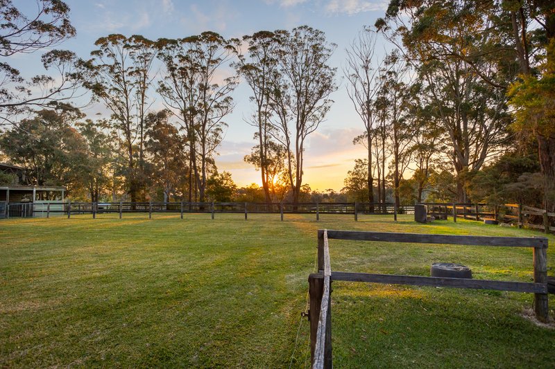 Photo - 9 Namba Road, Duffys Forest NSW 2084 - Image 24