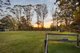 Photo - 9 Namba Road, Duffys Forest NSW 2084 - Image 24