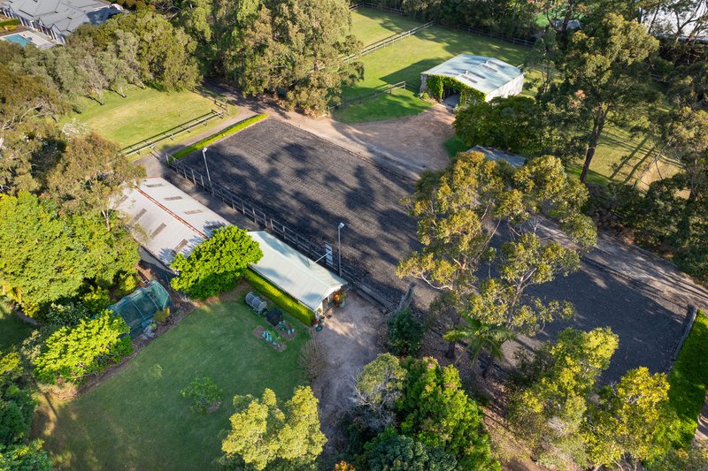 Photo - 9 Namba Road, Duffys Forest NSW 2084 - Image 33