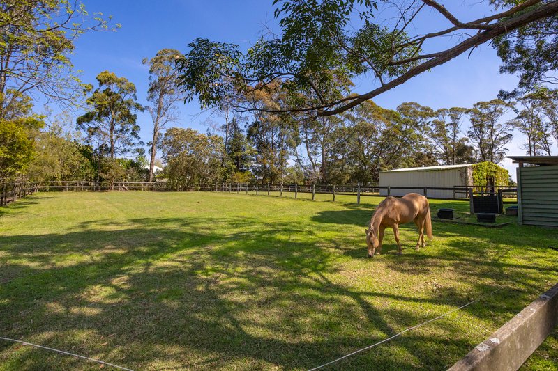 Photo - 9 Namba Road, Duffys Forest NSW 2084 - Image 35