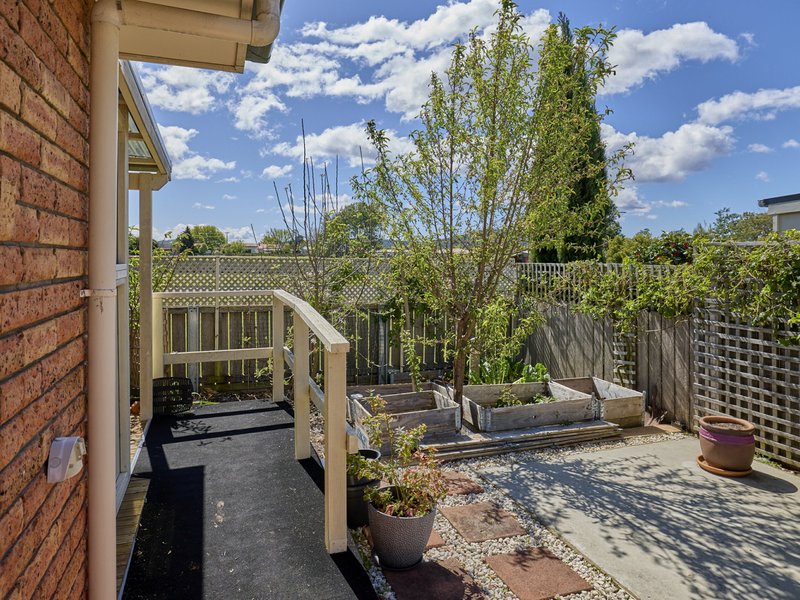 Photo - 9 Nautilus Place, St Helens TAS 7216 - Image 16