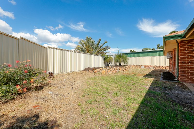 Photo - 9 Newlin Mews, Clarkson WA 6030 - Image 25