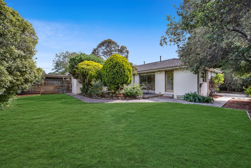 Photo - 9 Northam Street, Glen Waverley VIC 3150 - Image 10