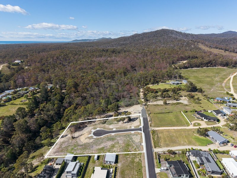 Photo - 9 Oceanvista Drive, St Helens TAS 7216 - Image 3