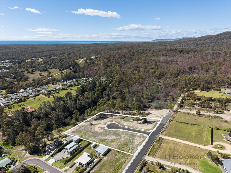 Photo - 9 Oceanvista Drive, St Helens TAS 7216 - Image 6