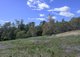 Photo - 9 Oceanvista Drive, St Helens TAS 7216 - Image 21