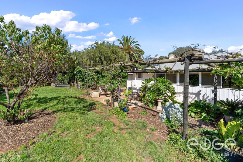 Photo - 9 Oldham Street, Tarlee SA 5411 - Image 21