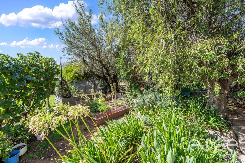 Photo - 9 Oldham Street, Tarlee SA 5411 - Image 24