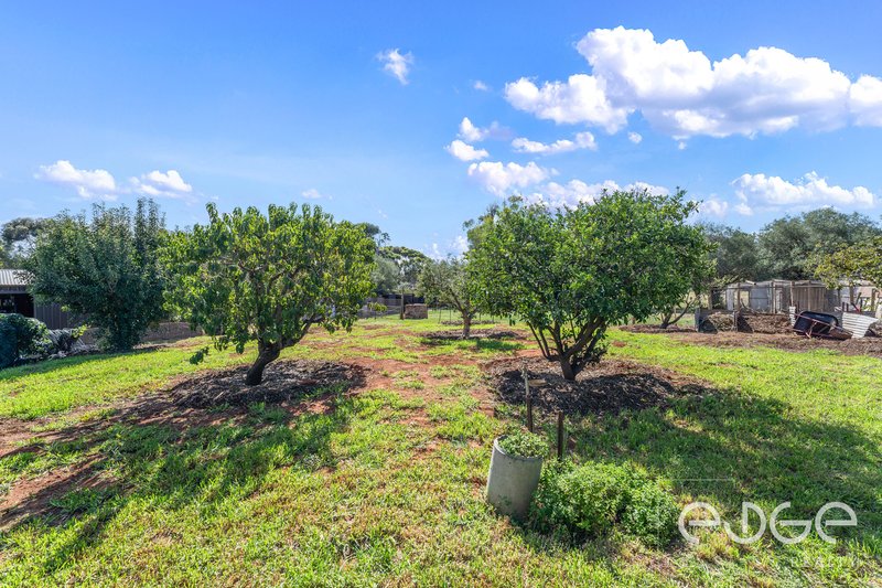 Photo - 9 Oldham Street, Tarlee SA 5411 - Image 25