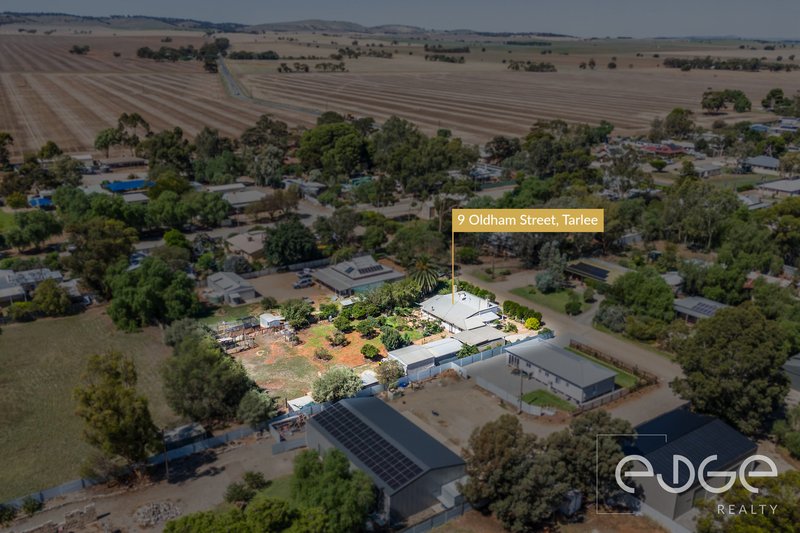 Photo - 9 Oldham Street, Tarlee SA 5411 - Image 30