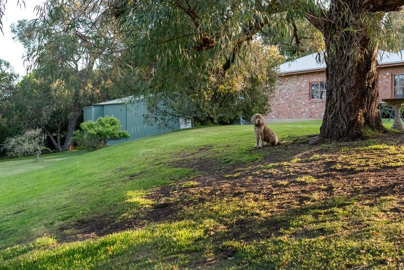 Photo - 9 Peach Grove, Tyabb VIC 3913 - Image 15