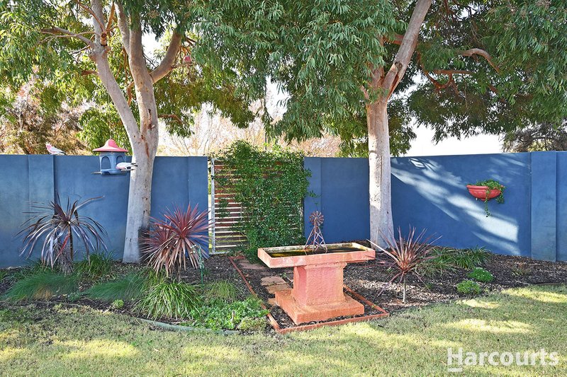 Photo - 9 Renner Circle, Wanneroo WA 6065 - Image 17