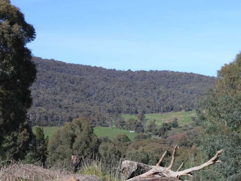 Photo - 9 Reservoir Lane, Tumbarumba NSW 2653 - Image 5