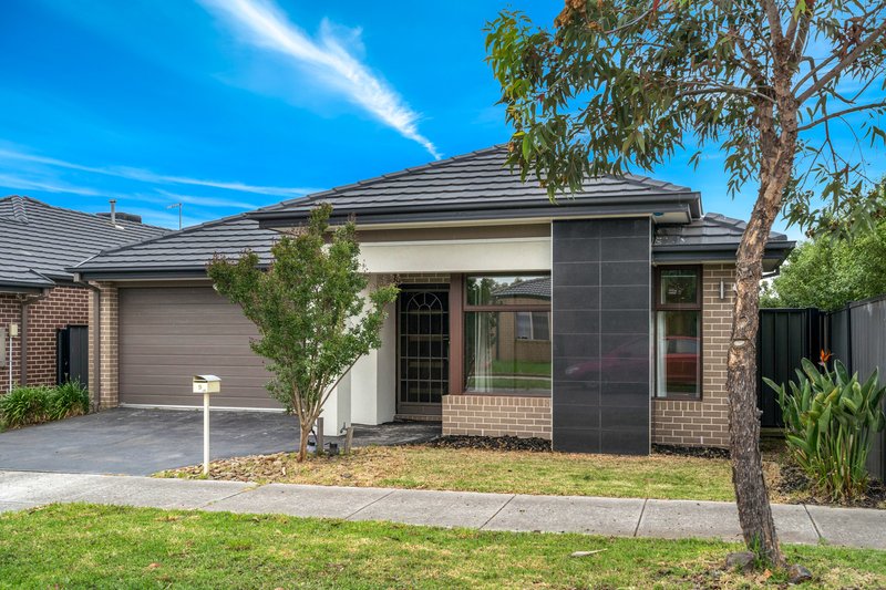 9 Riberry Street, Craigieburn VIC 3064