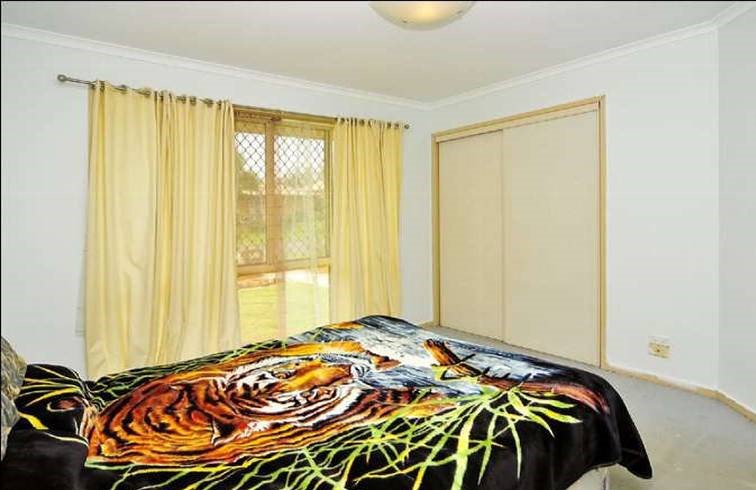Photo - 9 Scullin Street, Collingwood Park QLD 4301 - Image 7