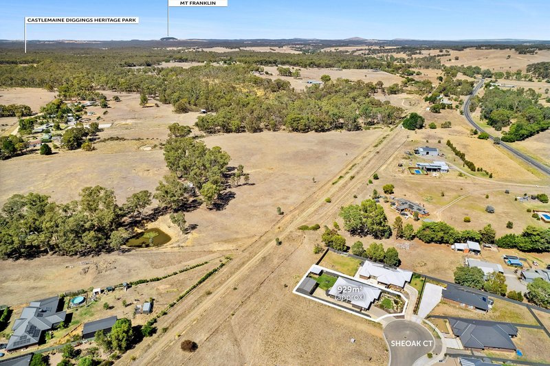 Photo - 9 Sheoak Court, Campbells Creek VIC 3451 - Image 23