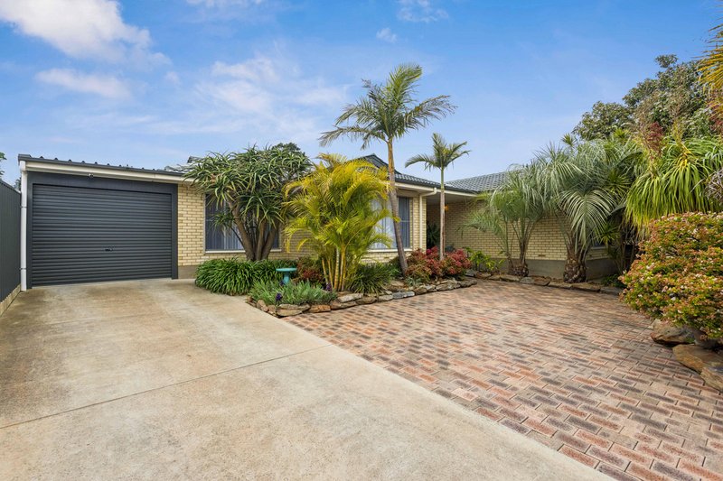 Photo - 9 Shepherd Street, Ridgehaven SA 5097 - Image 1