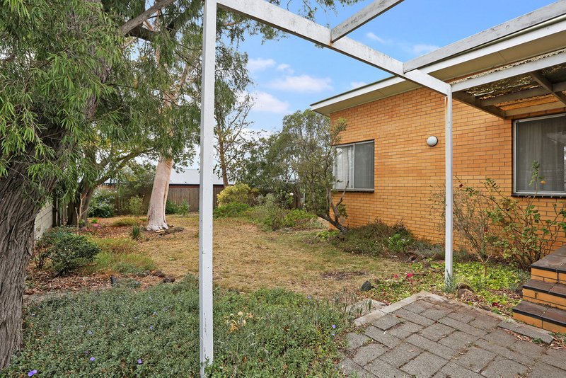 Photo - 9 Sheridan Street, Hamlyn Heights VIC 3215 - Image 10