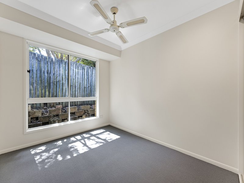 Photo - 9 Shiraz Court, Buderim QLD 4556 - Image 11