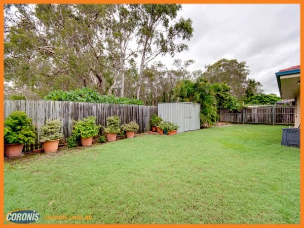 Photo - 9 Springer Place, Bracken Ridge QLD 4017 - Image 16