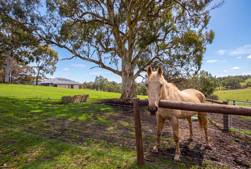 Photo - 9 Summit Road, Meadows SA 5201 - Image 30