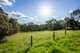 Photo - 9 Summit Road, Meadows SA 5201 - Image 31