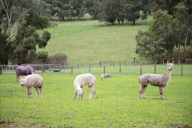 Photo - 9 Summit Road, Meadows SA 5201 - Image 32