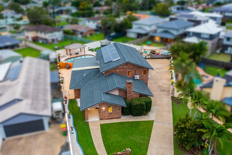 Photo - 9 Swordfish Court, Birkdale QLD 4159 - Image 6