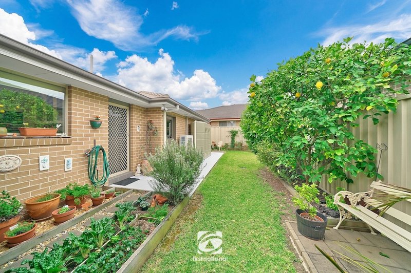 Photo - 9 Tiffen Street, Harrington Park NSW 2567 - Image 11