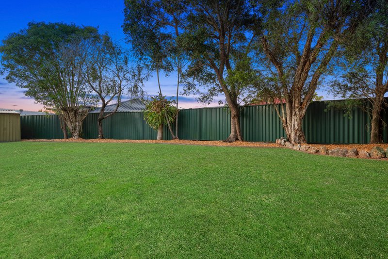 Photo - 9 Webb Court, Alexandra Hills QLD 4161 - Image 2