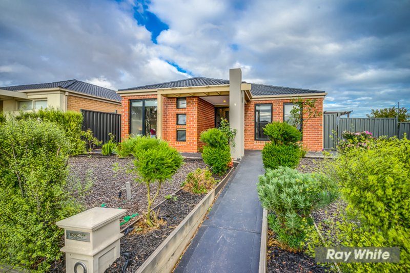 Photo - 9 Wilandra Drive, Tarneit VIC 3029 - Image 2