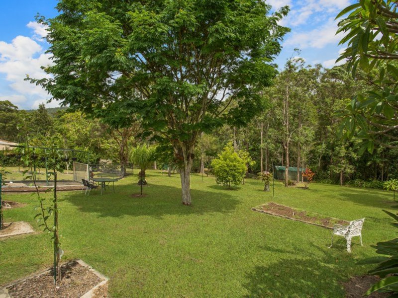 Photo - 9 William Hollindale Court, Worongary QLD 4213 - Image 4