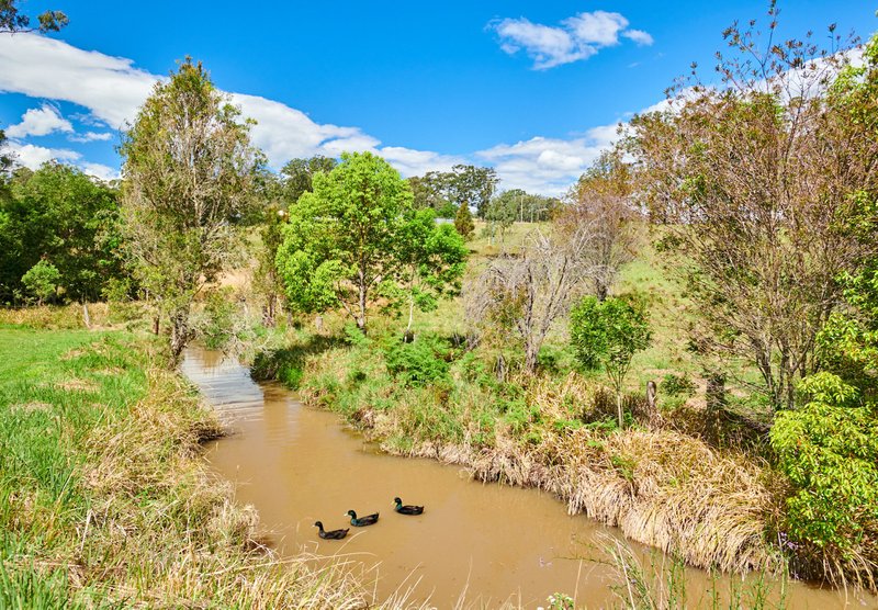 Photo - 9 Wynters Road, Burrell Creek NSW 2429 - Image 21