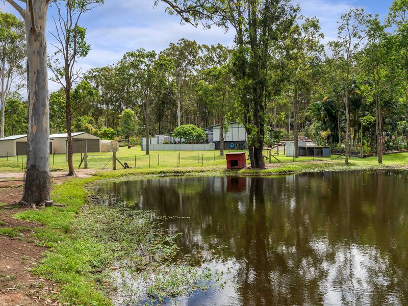 Photo - 9 Yangoora Avenue, Tinana QLD 4650 - Image 2