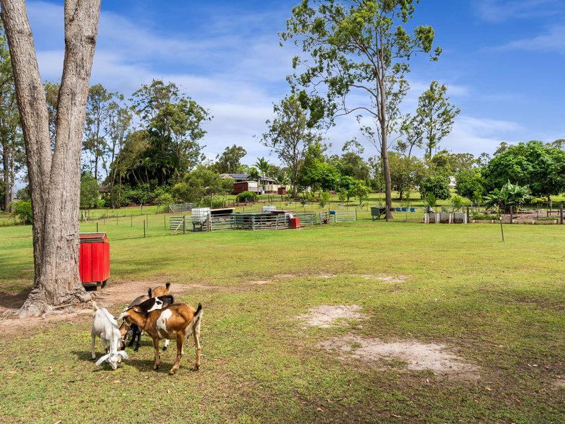 Photo - 9 Yangoora Avenue, Tinana QLD 4650 - Image 3