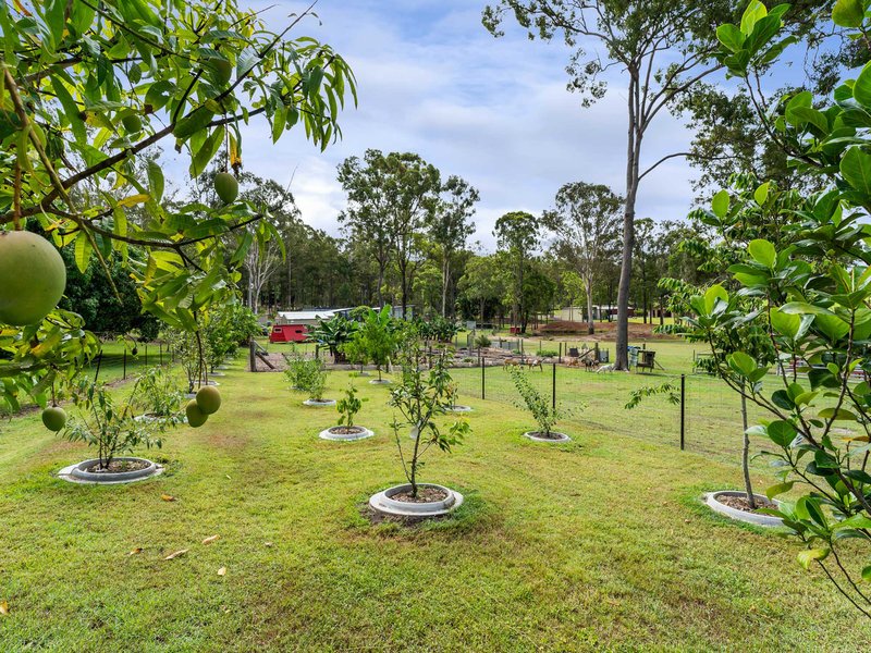 Photo - 9 Yangoora Avenue, Tinana QLD 4650 - Image 22