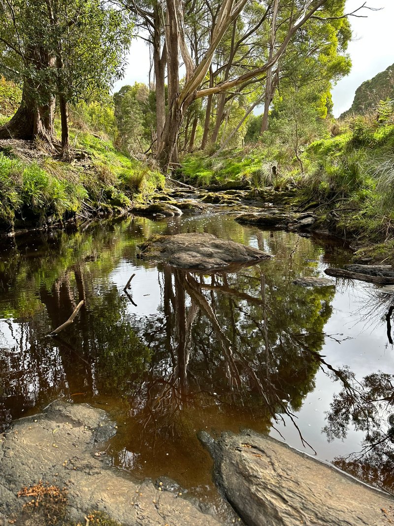 Photo - 90 Bischoffs Road, Pegarah TAS 7256 - Image 14