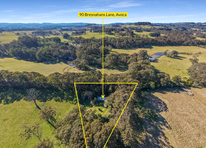 Photo - 90 Bresnahans Lane, Avoca NSW 2577 - Image 19