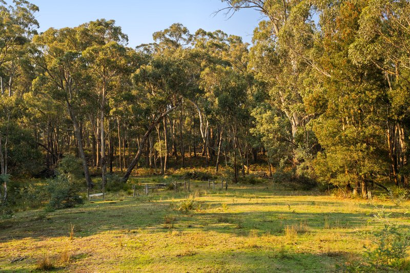 Photo - 90 Henrys Road, Glenlyon VIC 3461 - Image 22