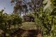 Photo - 90 Little Road, Willunga SA 5172 - Image 30