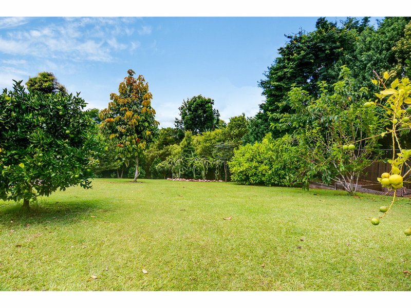 Photo - 90 Murer Drive, North Maleny QLD 4552 - Image 17