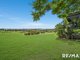 Photo - 90 Panicum Close, Veresdale Scrub QLD 4285 - Image 14