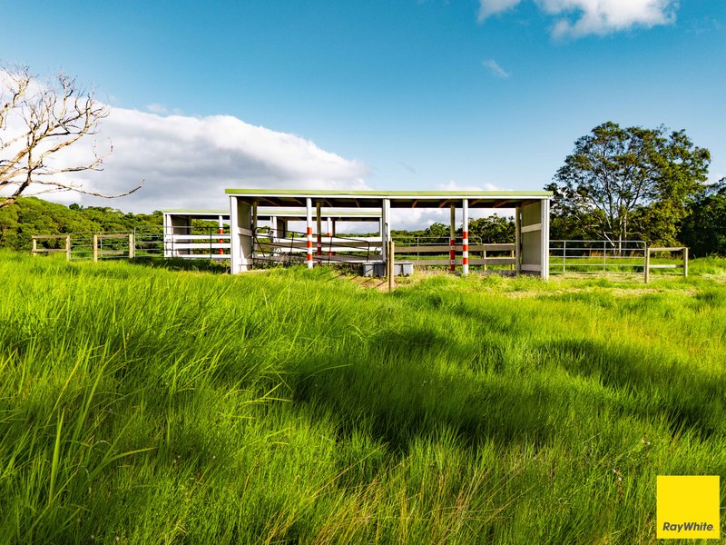 Photo - 90 Stoney Creek Road, Speewah QLD 4881 - Image 25