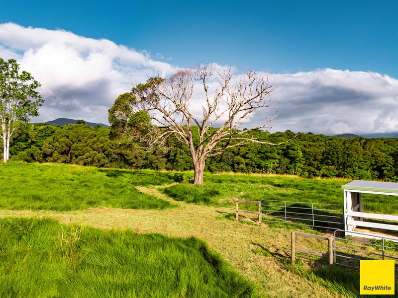Photo - 90 Stoney Creek Road, Speewah QLD 4881 - Image 26